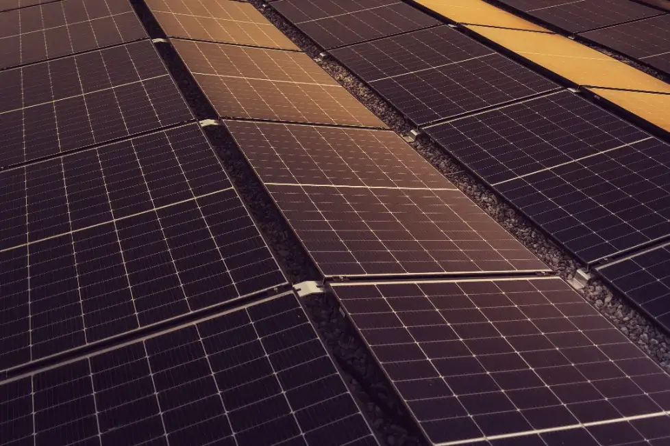 Country Head, Philippines — renewable energy platform